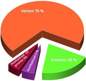 paleo dieet paleo dieet