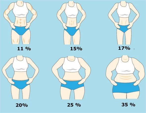 Vetpercentage inschatten