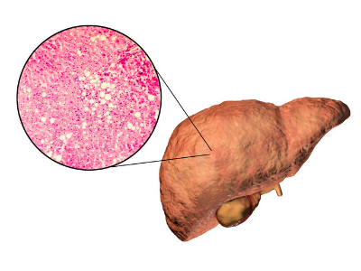 Ontwerp zonder titel(27) Ontwerp zonder titel27