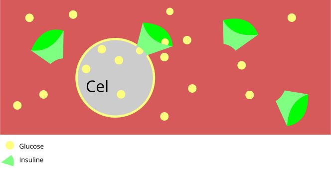 glucose en insuline goed 1 glucose en insuline goed 1