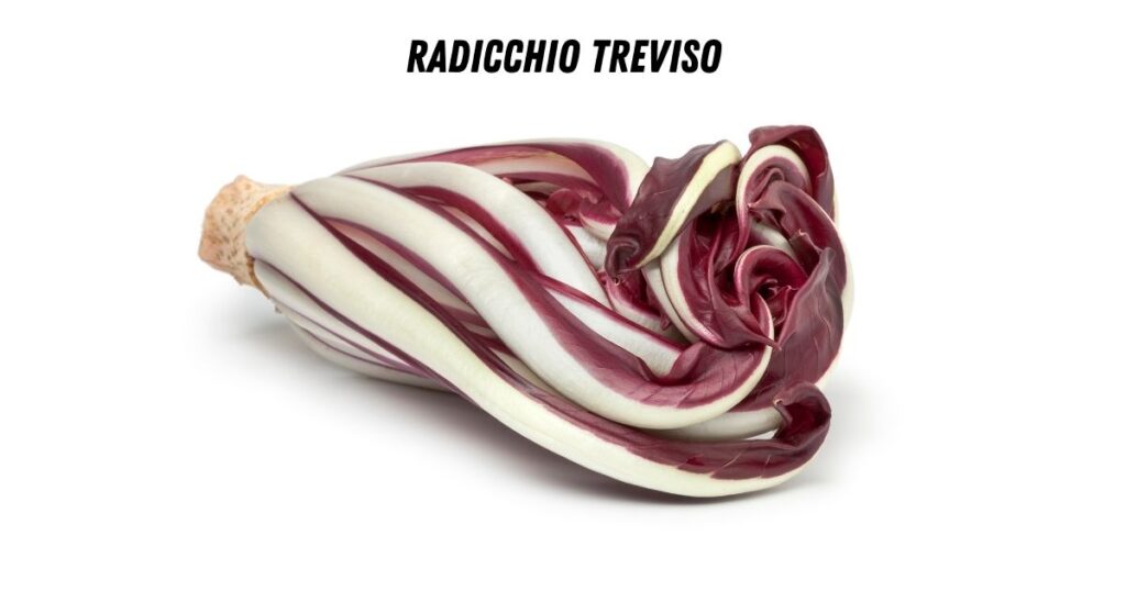 Treviso is langwerpiger, met elegante bladeren. 