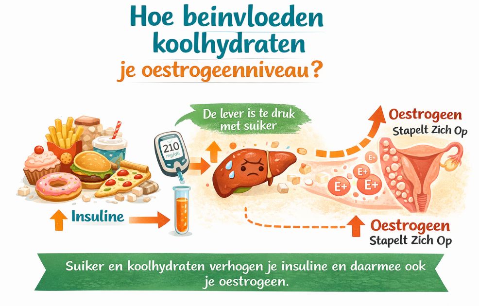 Koolhydraatarm en Oestrogeen: Zo Breng Je Je Hormonen in Balans 3 Hoe beïnvloeden koolhydraten je oestrogeenniveau?