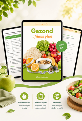 Gezond Afslank Plan e-book
